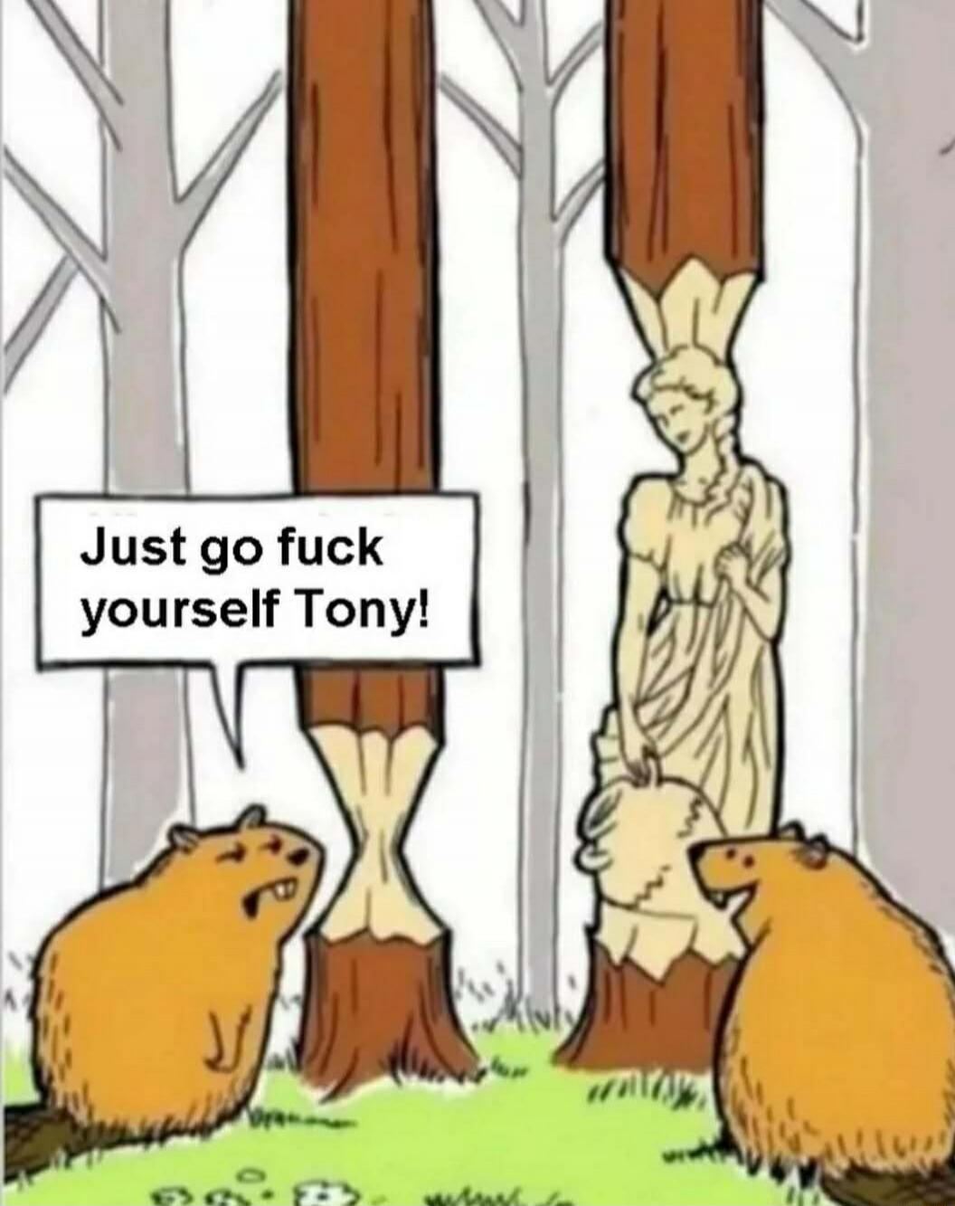 Just go fuck yourself Tony!
