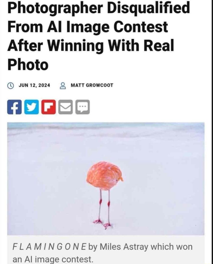 Photographer Disqualified From Al Image Contest After Winning With Real Photo UN12204 Q MATT GROWCOOT lvre A FLAMIN G O N E by Miles Astray which won an Al image contest