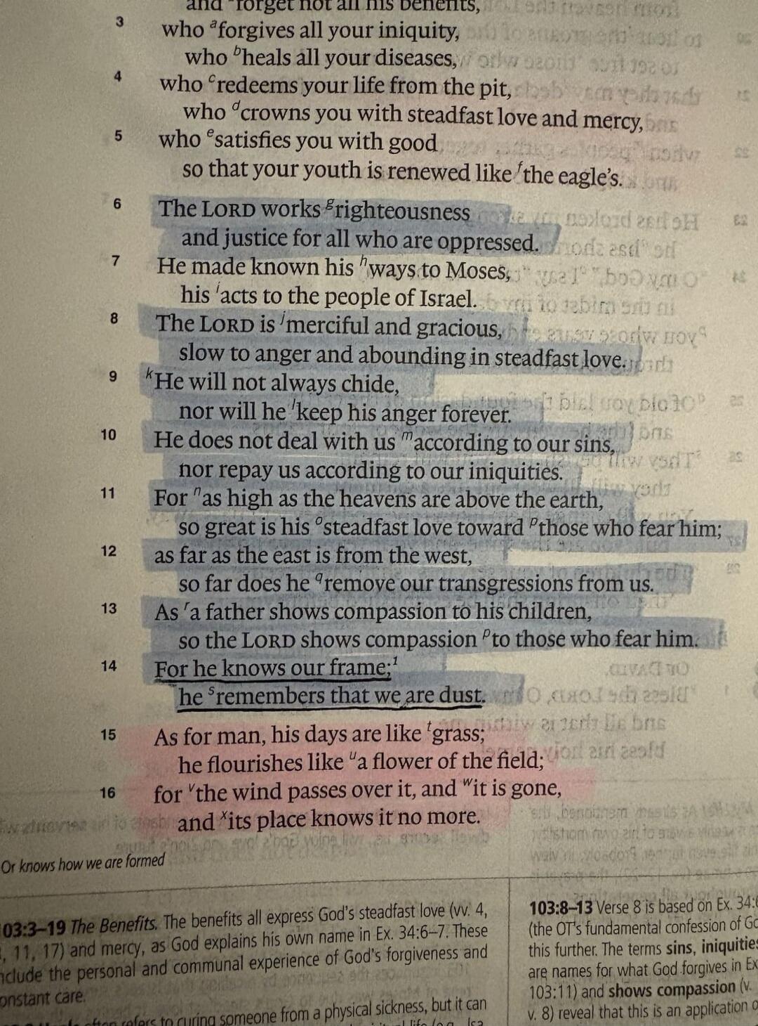 and forget not all his benefits,
who forgives all your iniquity,
who heals all your diseases,
who redeems your life from the pit,
who crowns you with steadfast love and mercy,
who satisfies you with good
so that your youth is renewed like the eagle's.

The LORD works righteousness
and justice for all who are oppressed.
He made known his ways to Mos