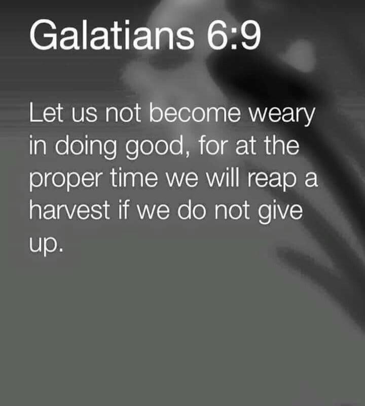 Galatians 6:9 Let us not become weary in doing good, for at the proper time we will reap a harvest if we do not give up.