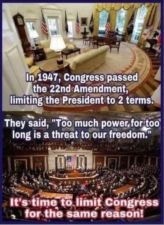 In 1947, Congress passed the 22nd Amendment, limiting the President to 2 terms. They said, 'Too much power for too long is a threat to our freedom.' It's time to limit Congress for the same reason!