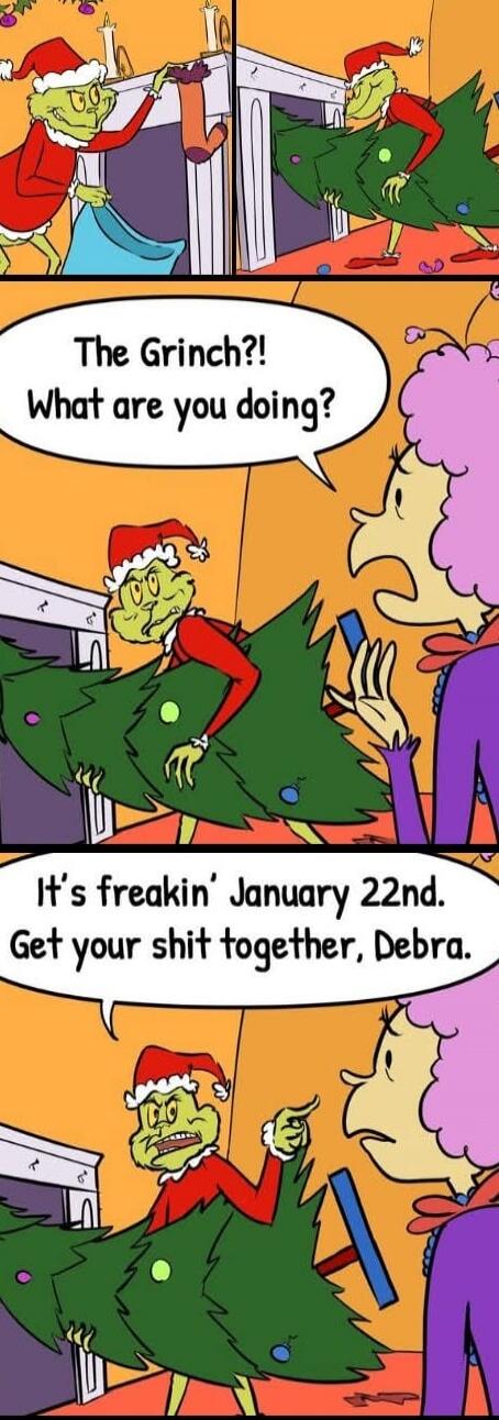 The Grinch?! What are you doing?
It's freakin' January 22nd. Get your shit together, Debra.