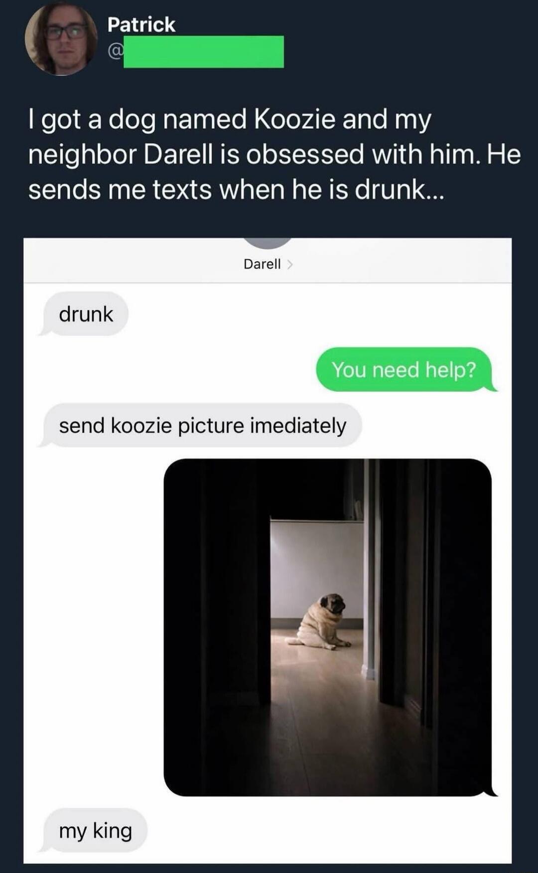 Patrick I got a dog named Koozie and my neighbor Darell is obsessed with him. He sends me texts when he is drunk... Darell: drunk. Patrick: You need help? Darell: send koozie picture imediately. Darell: my king.