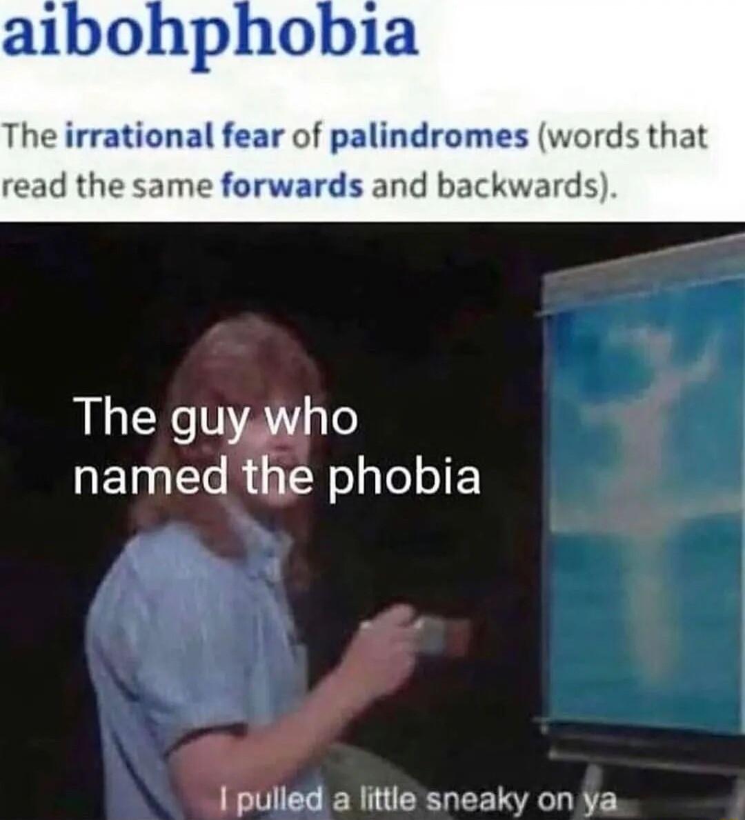 aibohphobia The irrational fear of palindromes words that read the same forwards and backwards The guyswho aETg Lo R aTRol o o LIS R EEGEETIAGL R 7Y