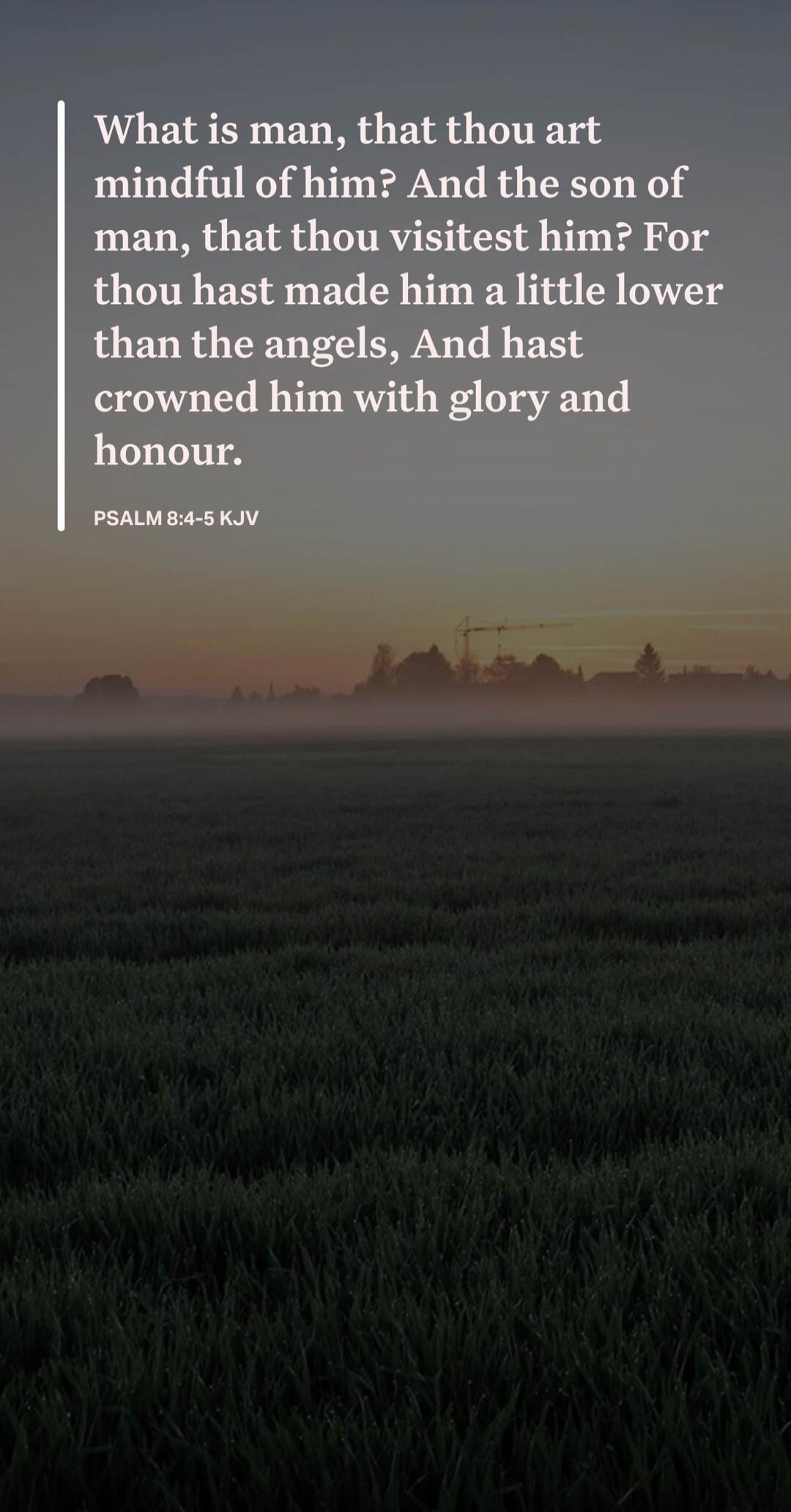 What is man, that thou art mindful of him? And the son of man, that thou visitest him? For thou hast made him a little lower than the angels, And hast crowned him with glory and honour. PSALM 8:4-5 KJV