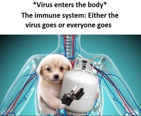 Virus enters the body The immune system Either the virus goes or everyone goes