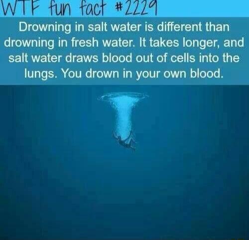 W1k 1un facr 2229 Drowning in salt water is different than drowning in fresh water It takes longer and salt water draws blood out of cells into the lungs You drown in your own blood