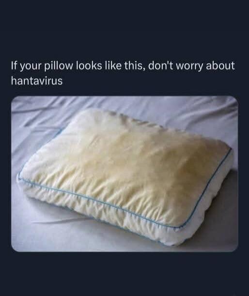 If your pillow looks like this, don't worry about hantavirus