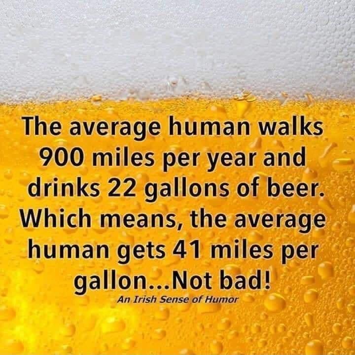 The average human walks 900 miles per year and drinks 22 gallons of beer Which means the average human gets 41 miles per gallonNot bad An Irish Sense of Humor 4
