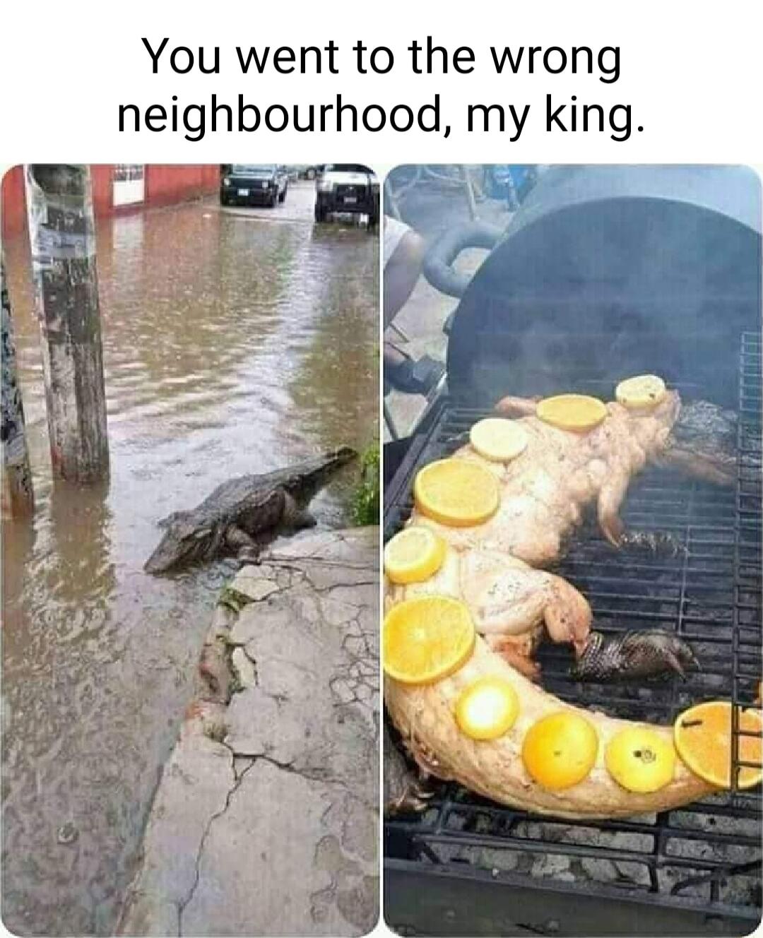 You went to the wrong neighbourhood my king v