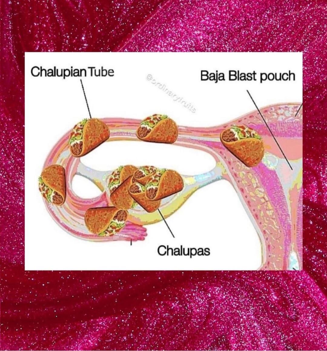 ChalupianTube
Baja Blast pouch
Chalupas