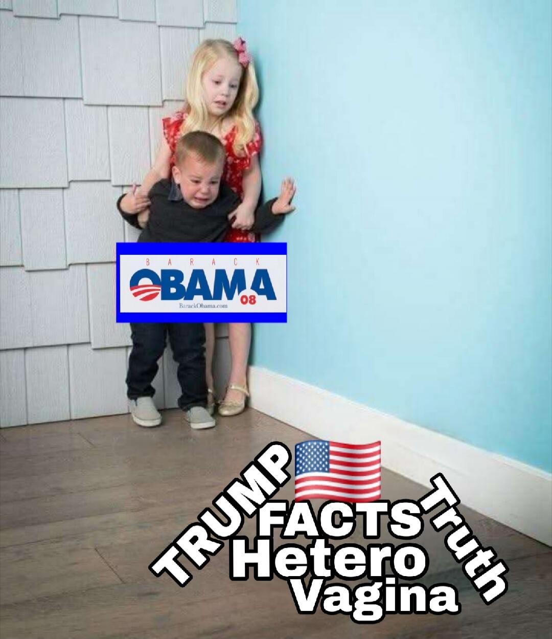 BARACK OBAMA 08 BarackObama.com TRUMP FACTS Hetero Vagina Truth
