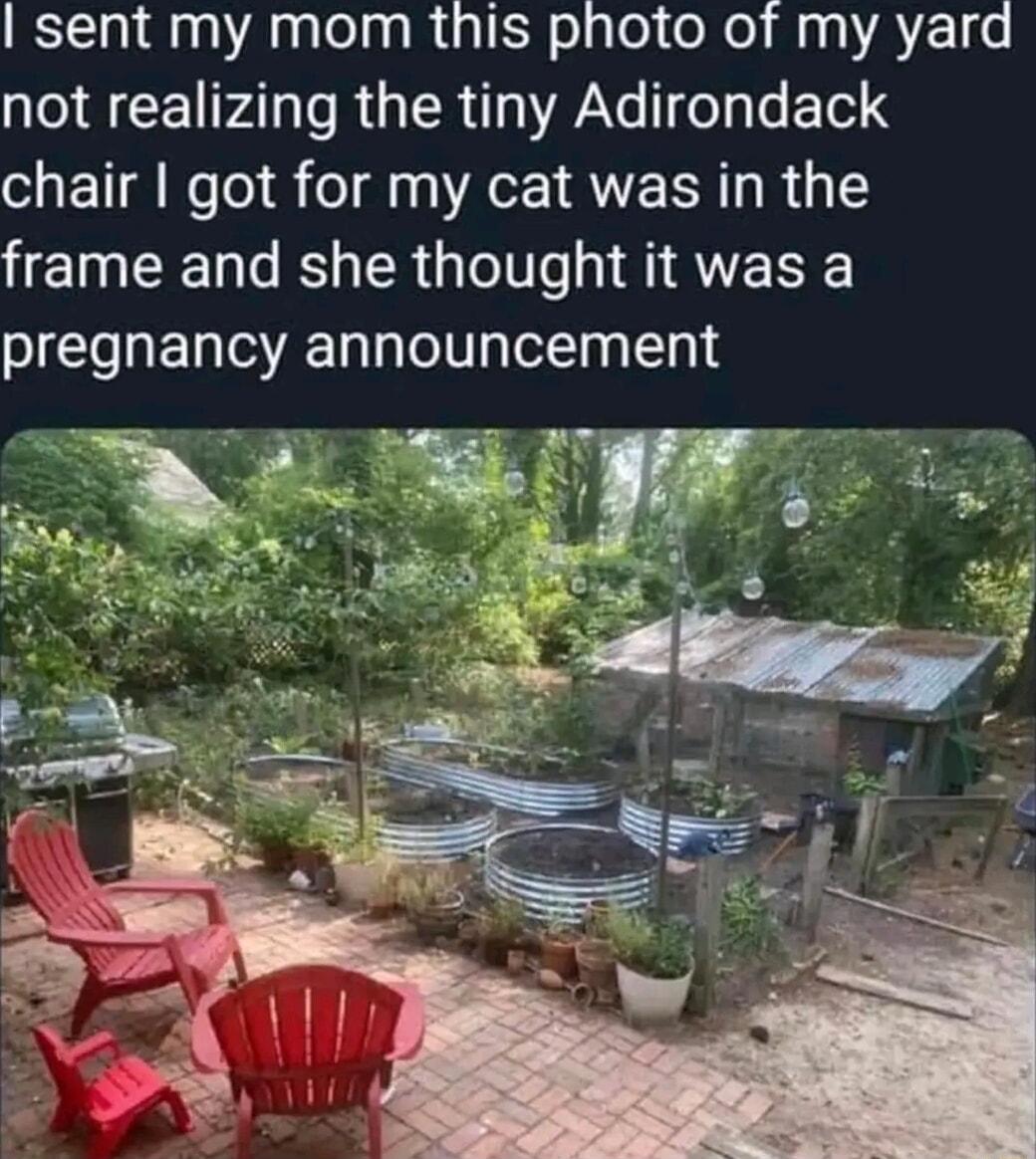 ISTE A lelnR ISy olsle oNe Ma g A 1 QAL PAT RGN W Ye feTas 1ol 3 chair got for my cat was in the frame and she thought it was a pregnancy announcement