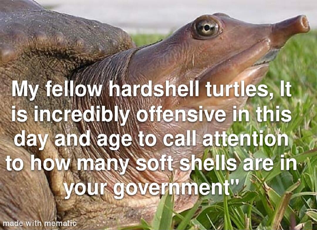 My fellow hardshell turflgs It is incredibly offenswe inthis dayiandage to calliatientiony X elisdre in N i ourigovergment 4 agldiith momalf