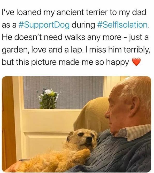 Ive loaned my ancient terrier to my dad as a SupportDog during Selflsolation He doesnt need walks any more just a garden love and a lap miss him terribly but this picture made me so happy