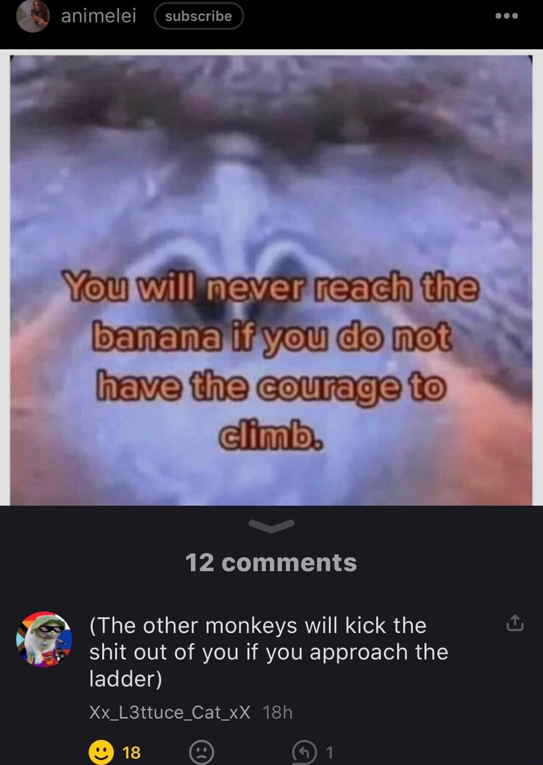 12 comments The other monkeys will kick the shit out of you if you approach the ladder Xx_L3ttuce_Cat xX 18h