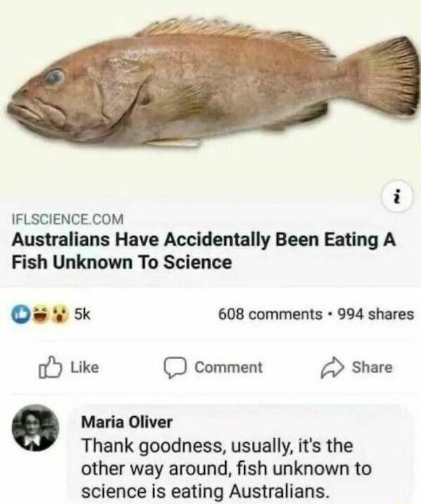 i IFLSCIENCECOM Australians Have Accidentally Been Eating A Fish Unknown To Science Ow 4 sk 608 comments 994 shares o Like comment Share o Maria Oliver Thank goodness usually its the other way around fish unknown to science is eating Australians