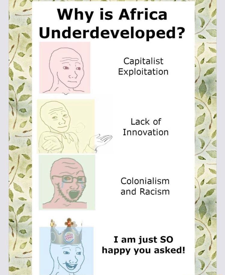 Whyis Africa Underdeveloped o I g Capitalist Exploitation V4 Lack of Innovation Colonialism and Racism I am just SO happy you asked