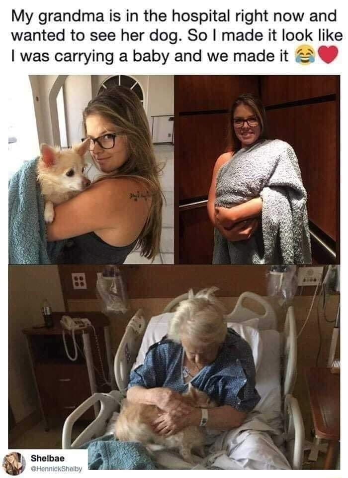 My grandma is in the hospital right now and wanted to see her dog So made it look like was carrying a baby and we made it 2 1