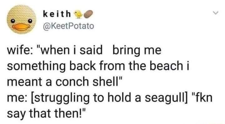 keith KeetPotato wife when i said bring me something back from the beach i meant a conch shell me struggling to hold a seagull fkn say that then