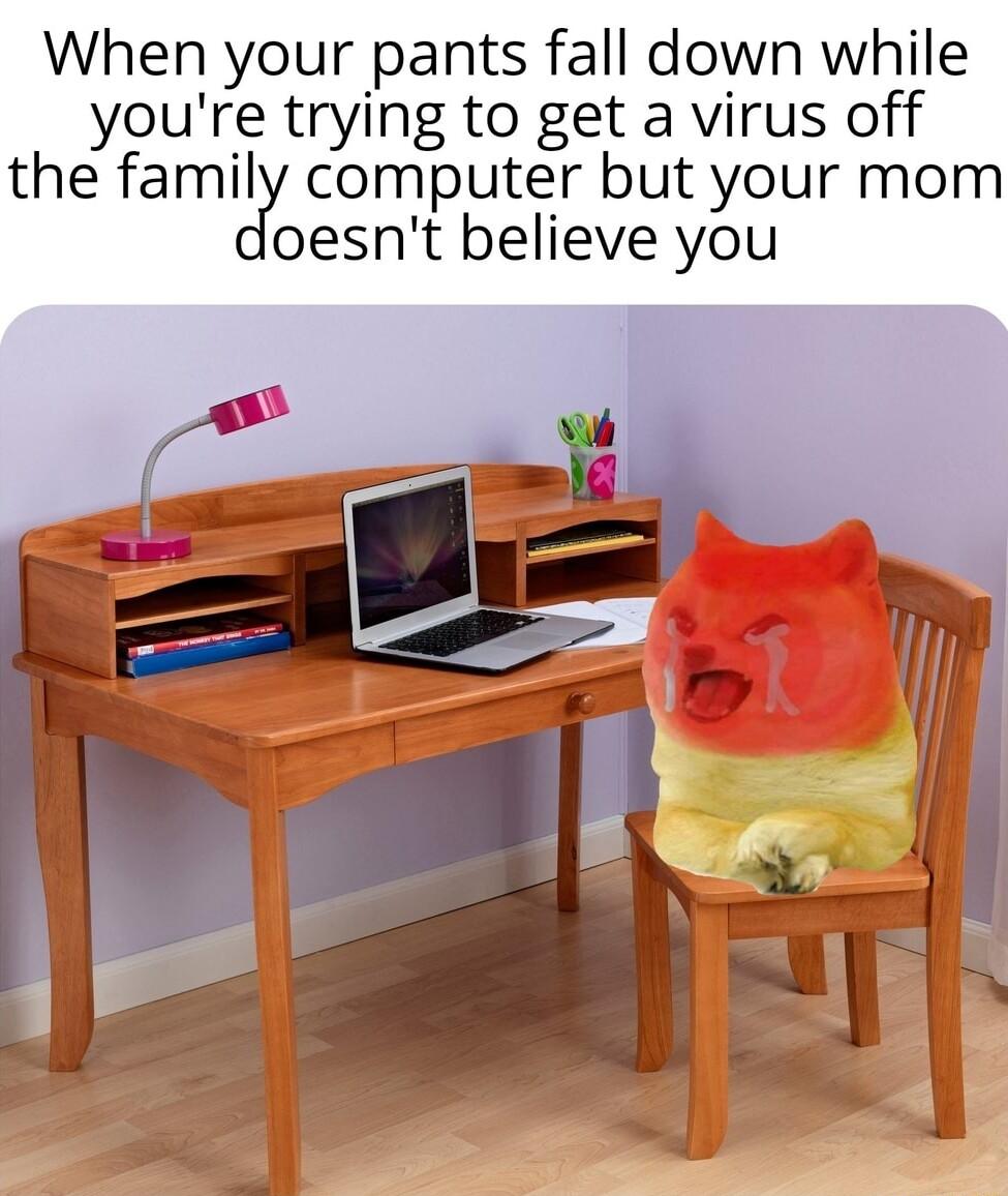 When your pants fall down while youre trying to get a virus off the familjy computer but your mom oesnt believe you