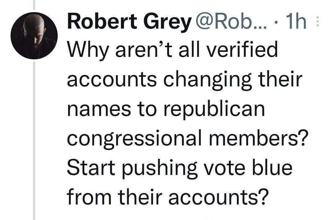 Robert Grey Rob 1h Why arent all verified accounts changing their names to republican congressional members Start pushing vote blue from their accounts