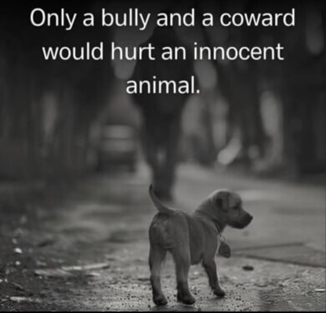 Only a bully and a coward would hurt an innocent animal.