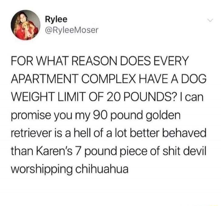 FOR WHAT REASON DOES EVERY APARTMENT COMPLEX HAVE A DOG WEIGHT LIMIT OF 20 POUNDS? I can promise you my 90 pound golden retriever is a hell of a lot better behaved than Karen's 7 pound piece of shit devil worshipping chihuahua