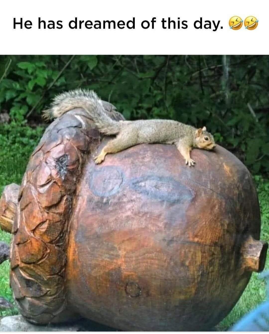 He has dreamed of this day. 😂😂