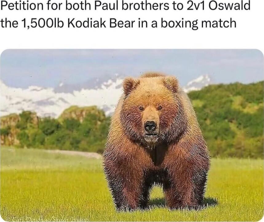 Petition for both Paul brothers to 2v1 Oswald the 15001b Kodiak Bear in a boxing match