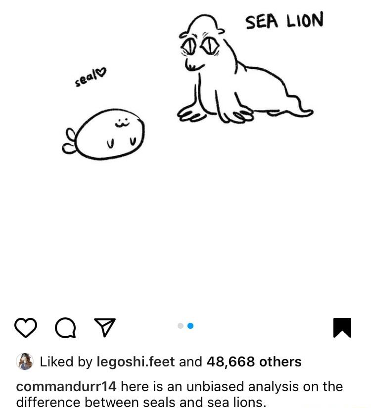 SER LION o Qv n B Liked by legoshifeet and 48668 others commandurr14 here is an unbiased analysis on the difference between seals and sea lions