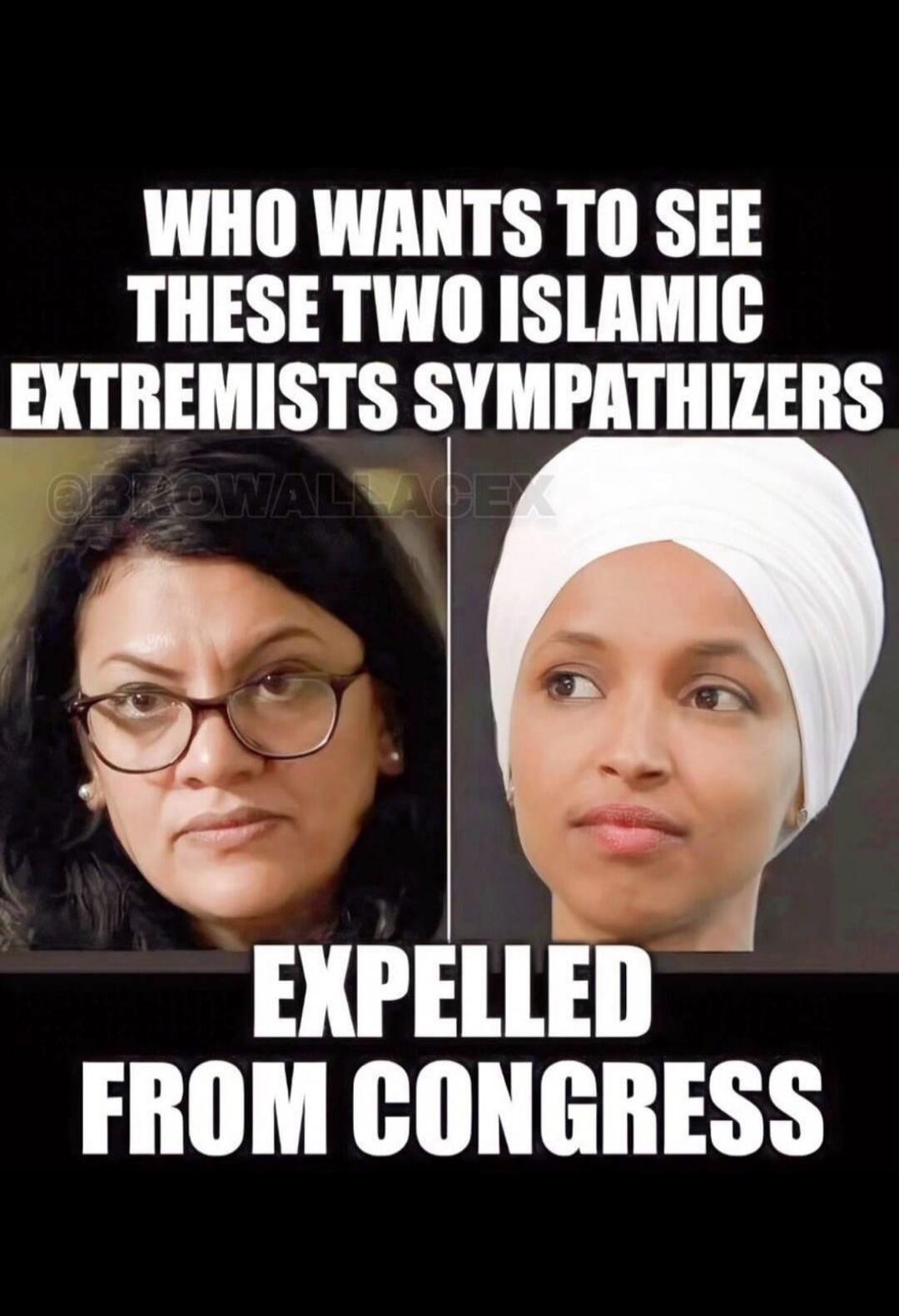 WHO WANTS TO SEE THESE TWO ISLAMIC EXTREMISTS SYMPATHIZERS EXPELLED FROM CONGRESS
