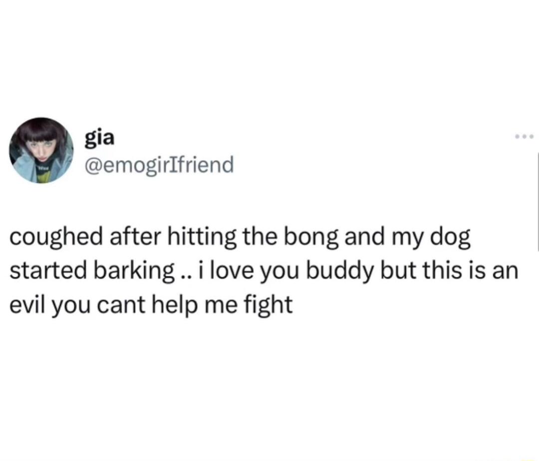 gia emogirIfriend coughed after hitting the bong and my dog started barking i love you buddy but this is an evil you cant help me fight