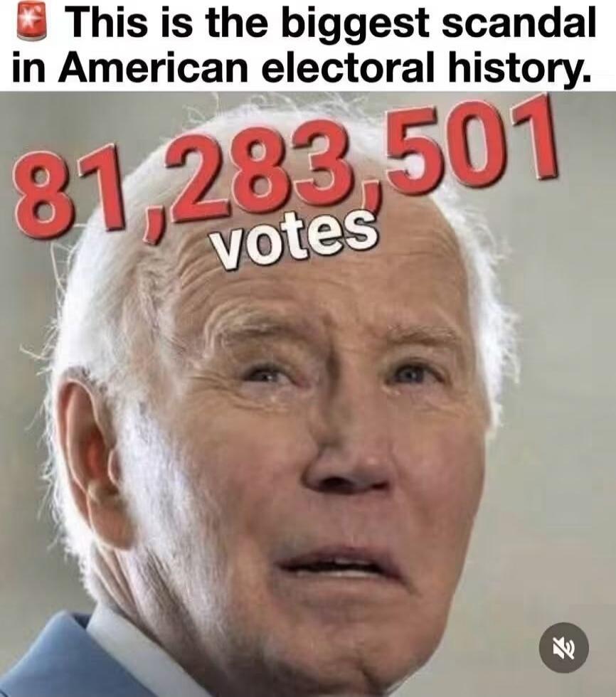 This is the biggest scandal in American electoral history. 81,283,501 votes
