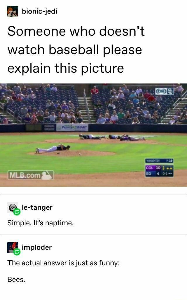 JA bionic jedi Someone who doesnt watch baseball please explain this picture le tanger Simple Its naptime imploder The actual answer is just as funny Bees