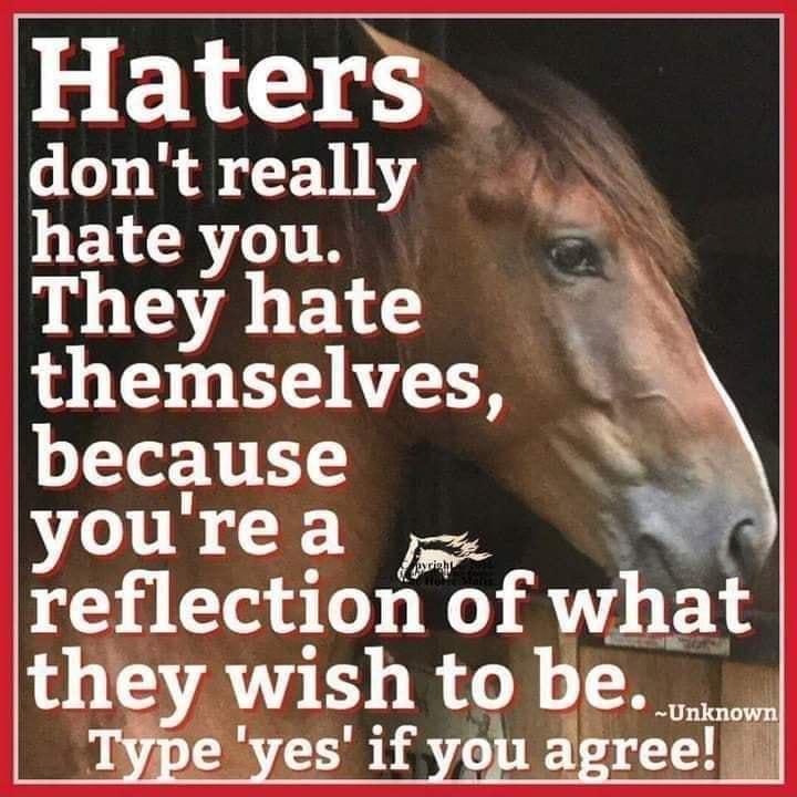 Haters dontreally hate you A They hate themselves e because