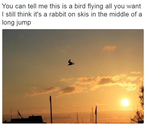 EAshWamer 2 Follow You can tell me this is a bird flying all you want I still think its a rabbit on skis in the middle of a long jump