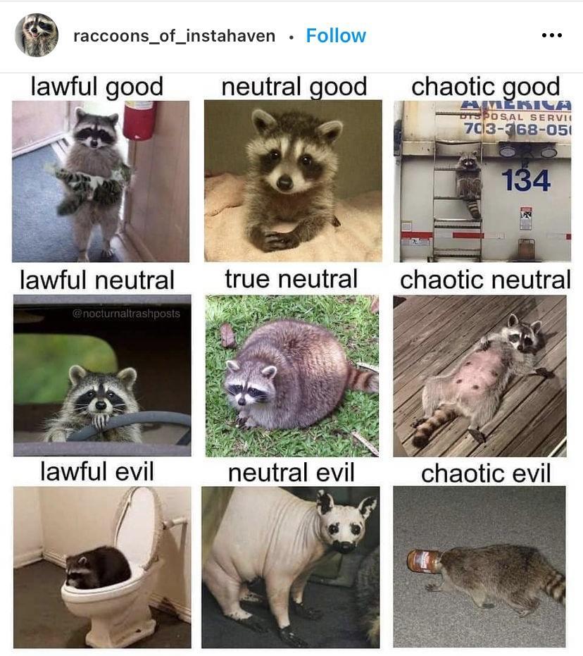 raccoons_of_instahaven Iawful good neutral lawful evil