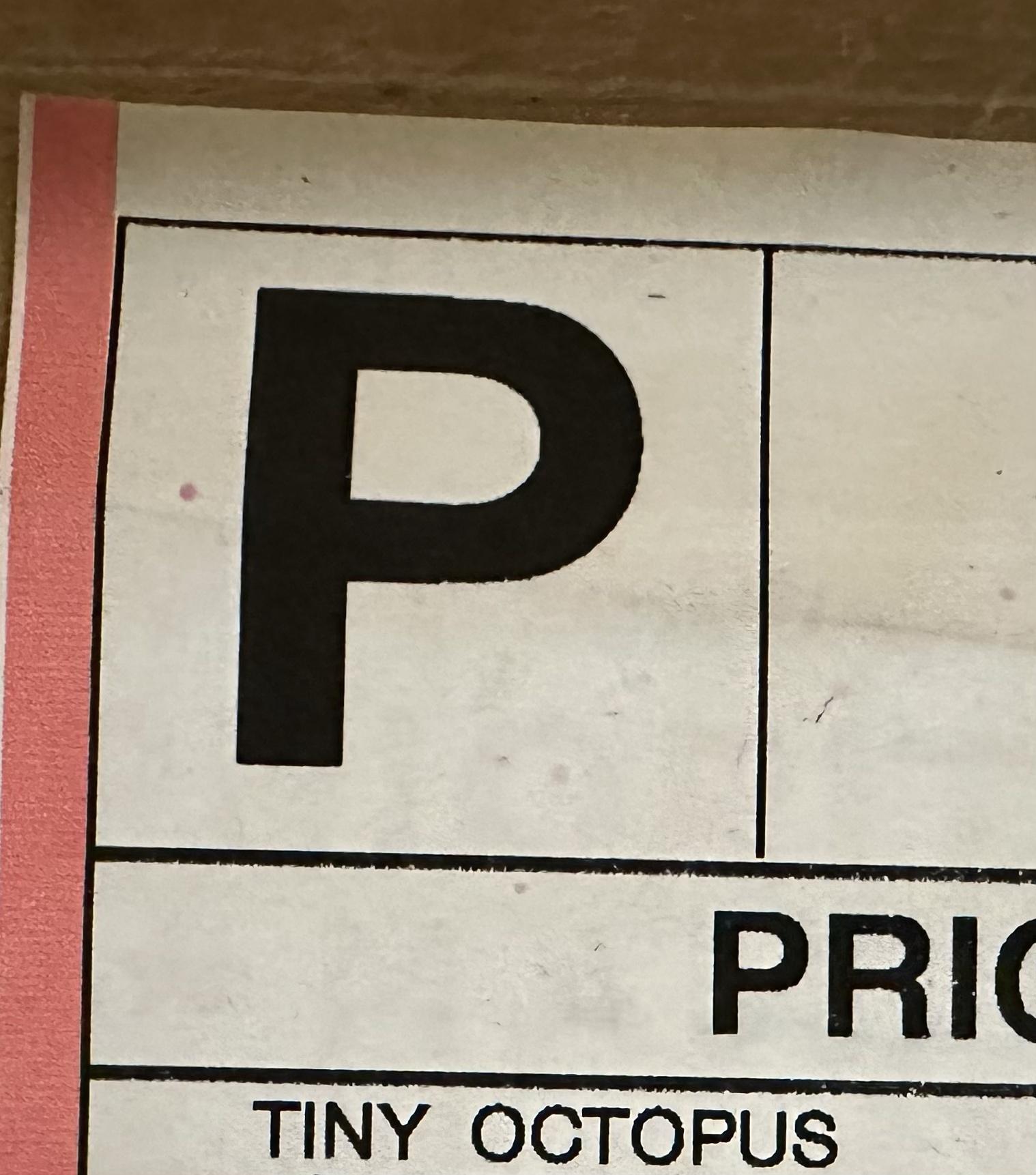 TINY OCTOPUS