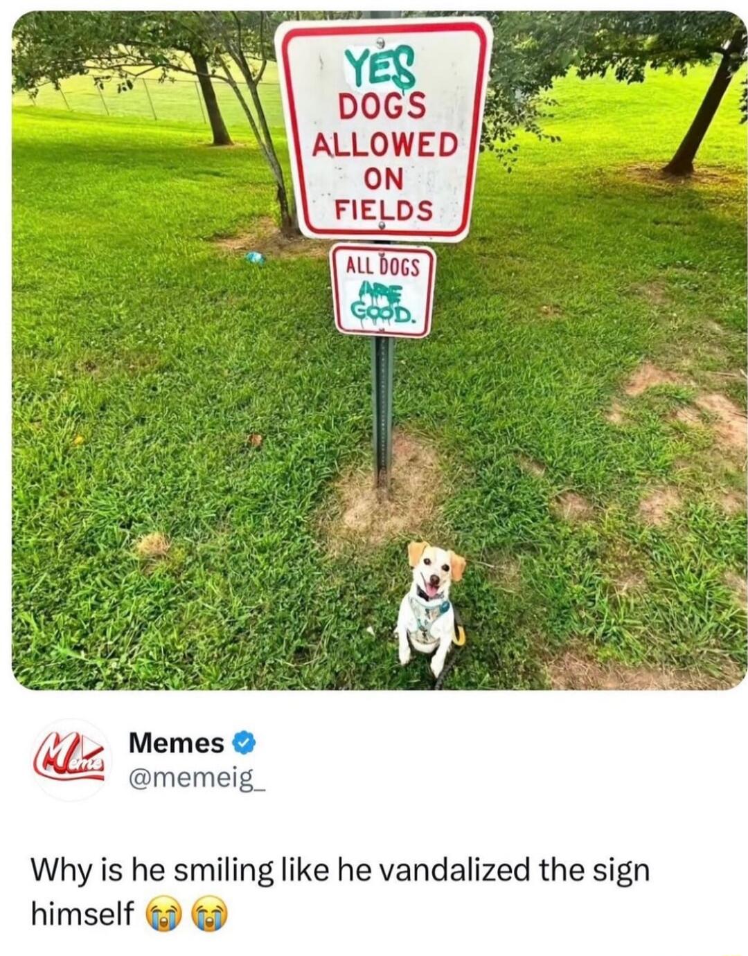 ALLOWED ON FIELDS Memes L2 memeig_ Why is he smiling like he vandalized the sign himself