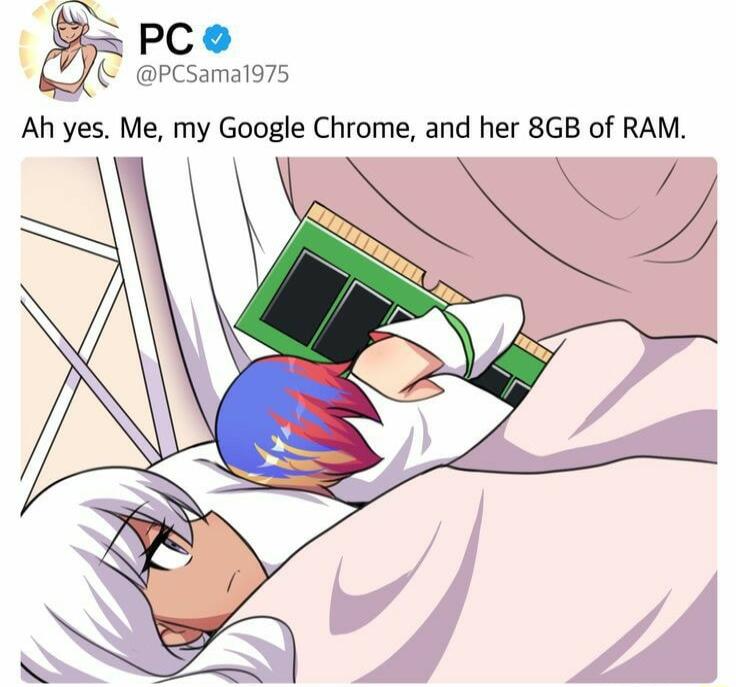 pco pcsama1975 Ah yes Me my Google Chrome and her 8GB of RAM