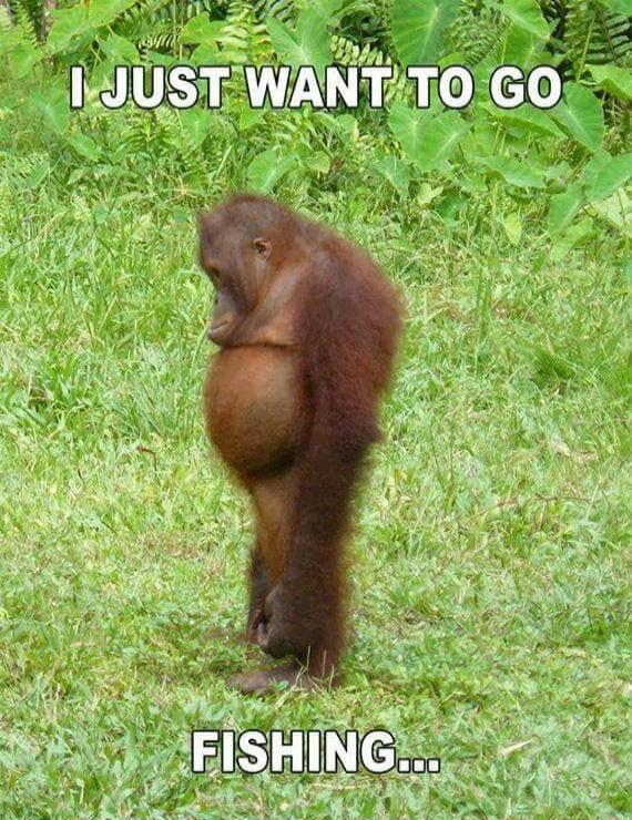 I JUST WANT TO GO FISHING...
