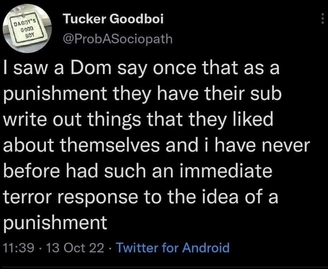 Q Tucker Goodboi ProbASociopath saw a Dom say once that as a punishment they have their sub write out things that they liked ELole IV R TN E VT o NN PN IIVET g before had such an immediate terror response to the idea of a punishment 1139 13 Oct 22 Twitter for Android