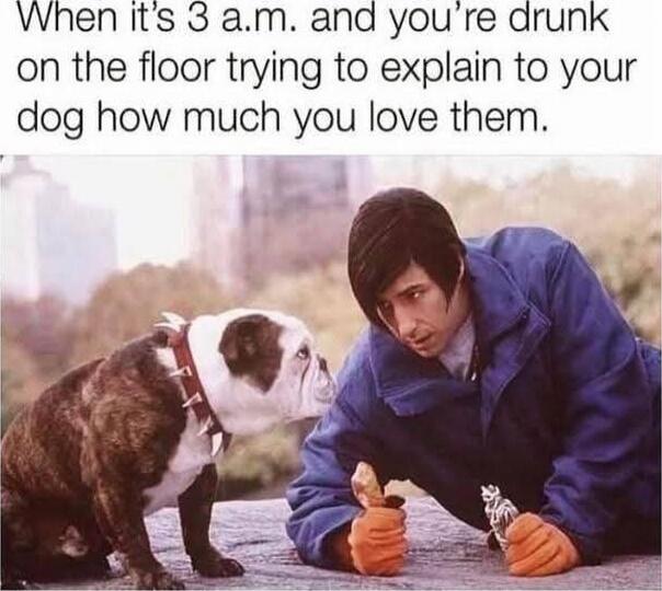 When it's 3 a.m. and you're drunk on the floor trying to explain to your dog how much you love them.