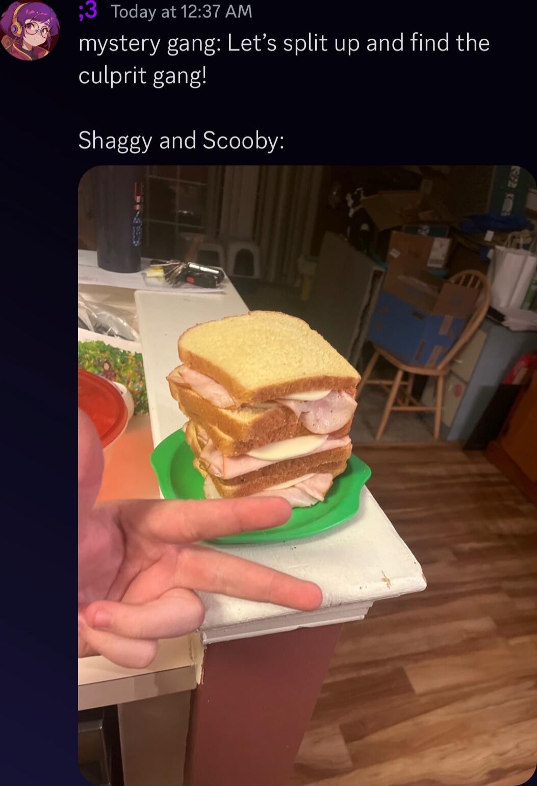 a 33 Today at 1237 AM mystery gang Lets split up and find the culprit gang Shaggy and Scooby