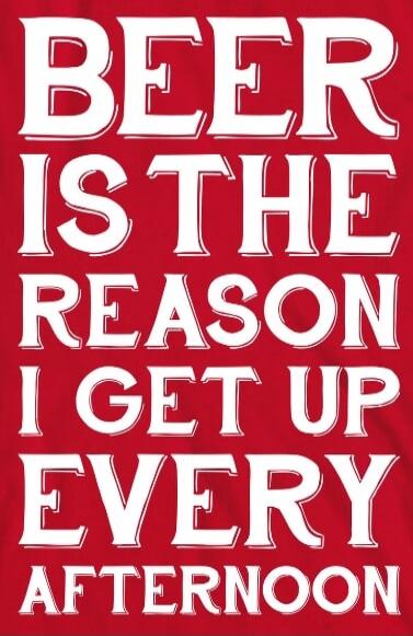 BEER IS THE REASON I GET UP EVERY AFTERNOON