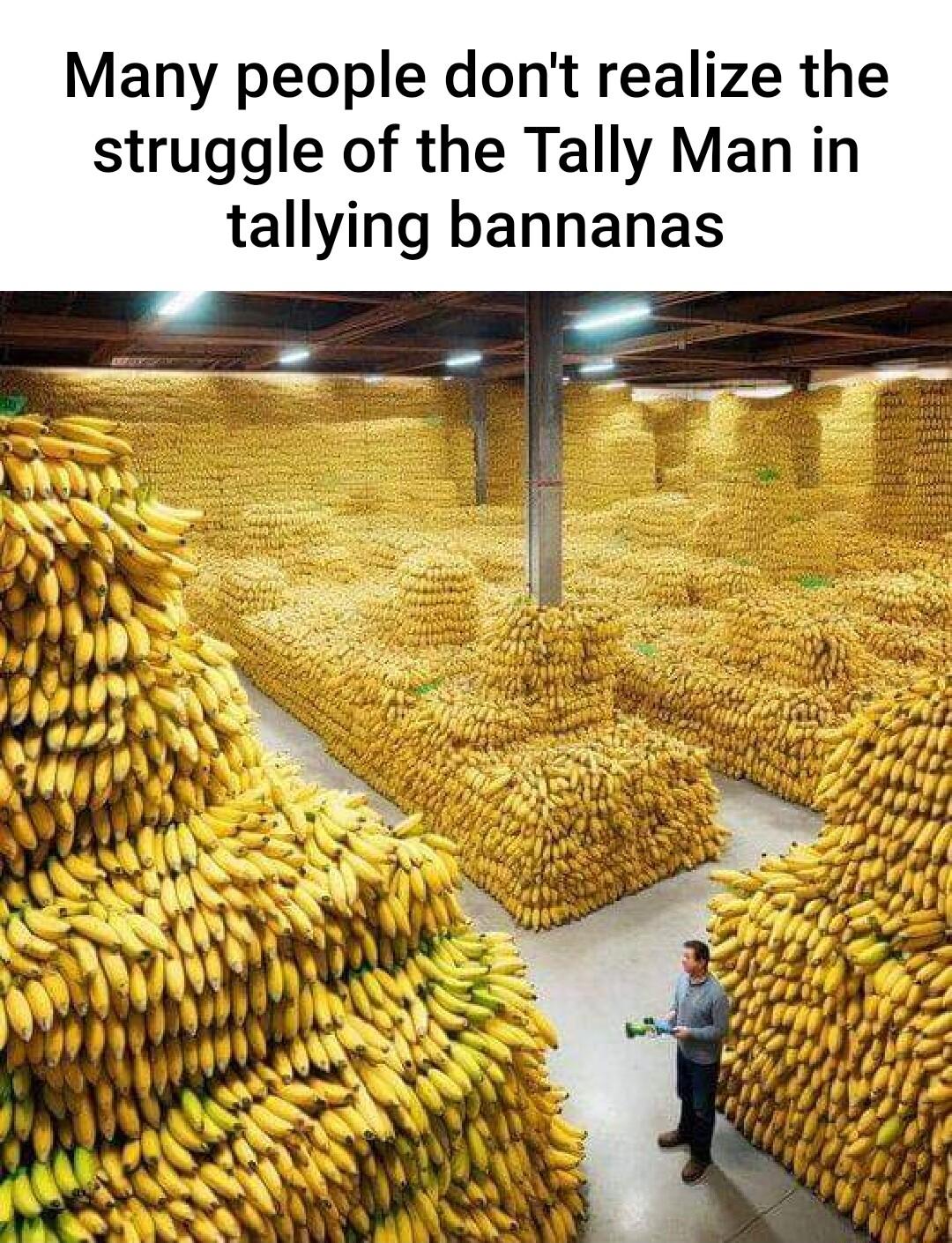 Many people dont realize the struggle of the Tally Man in tallying bannanas