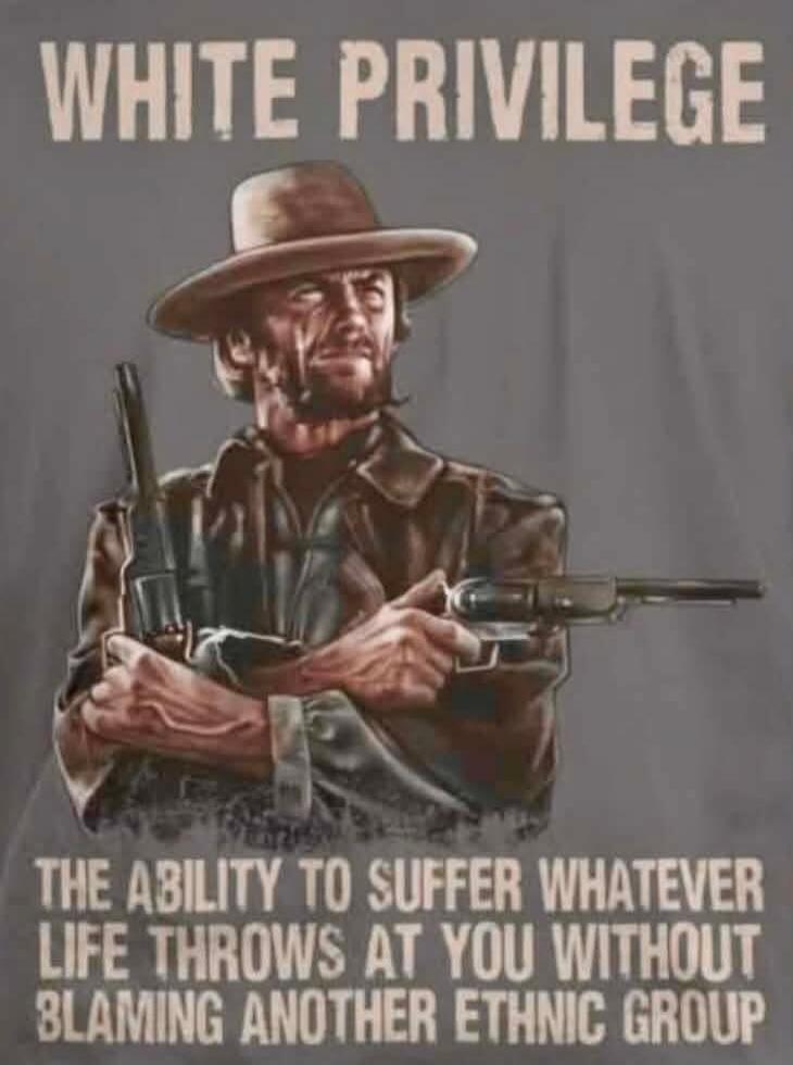 WHITE PRIVILEGE THE ABILITY TO SUFFER WHATEVER LIFE THROWS AT YOU WITHOUT BLAMING ANOTHER ETHNIC GROUP