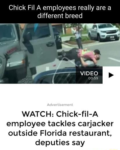 Chick Fil A employees really are a different breed WATCH Chick fil A employee tackles carjacker outside Florida restaurant deputies say