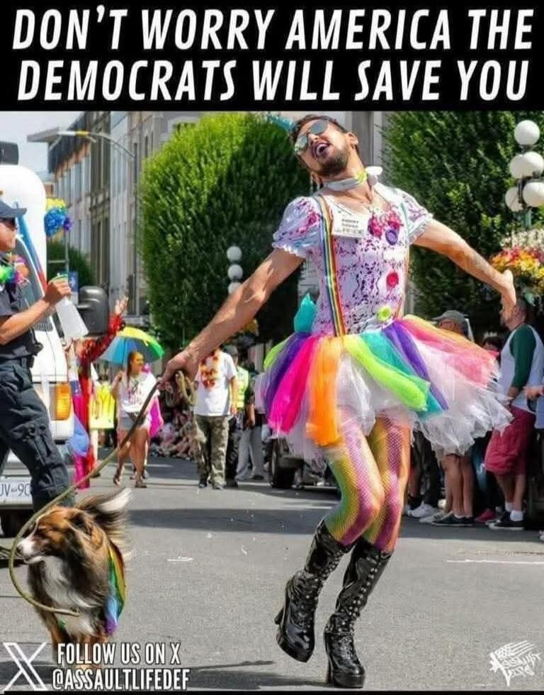 DON'T WORRY AMERICA THE DEMOCRATS WILL SAVE YOU FOLLOW US ON X @ASSAULTLIFEDEF